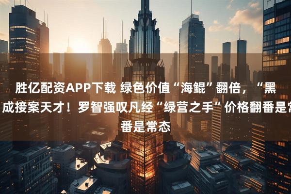 胜亿配资APP下载 绿色价值“海鲲”翻倍，“黑熊”成接案天才！罗智强叹凡经“绿营之手”价格翻番是常态