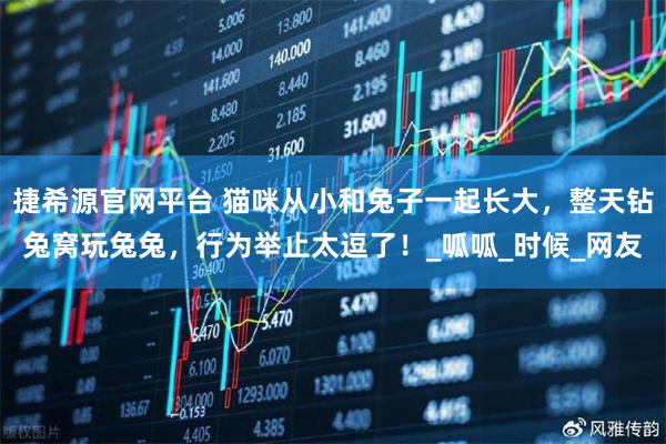 捷希源官网平台 猫咪从小和兔子一起长大，整天钻兔窝玩兔兔，行为举止太逗了！_呱呱_时候_网友